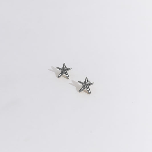 Aretes Una estrella de mar mini plateado