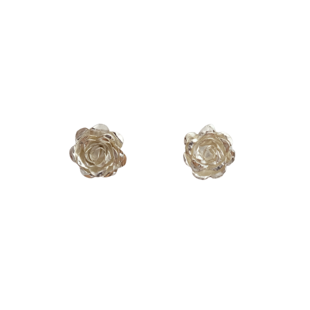 Aretes Rosa